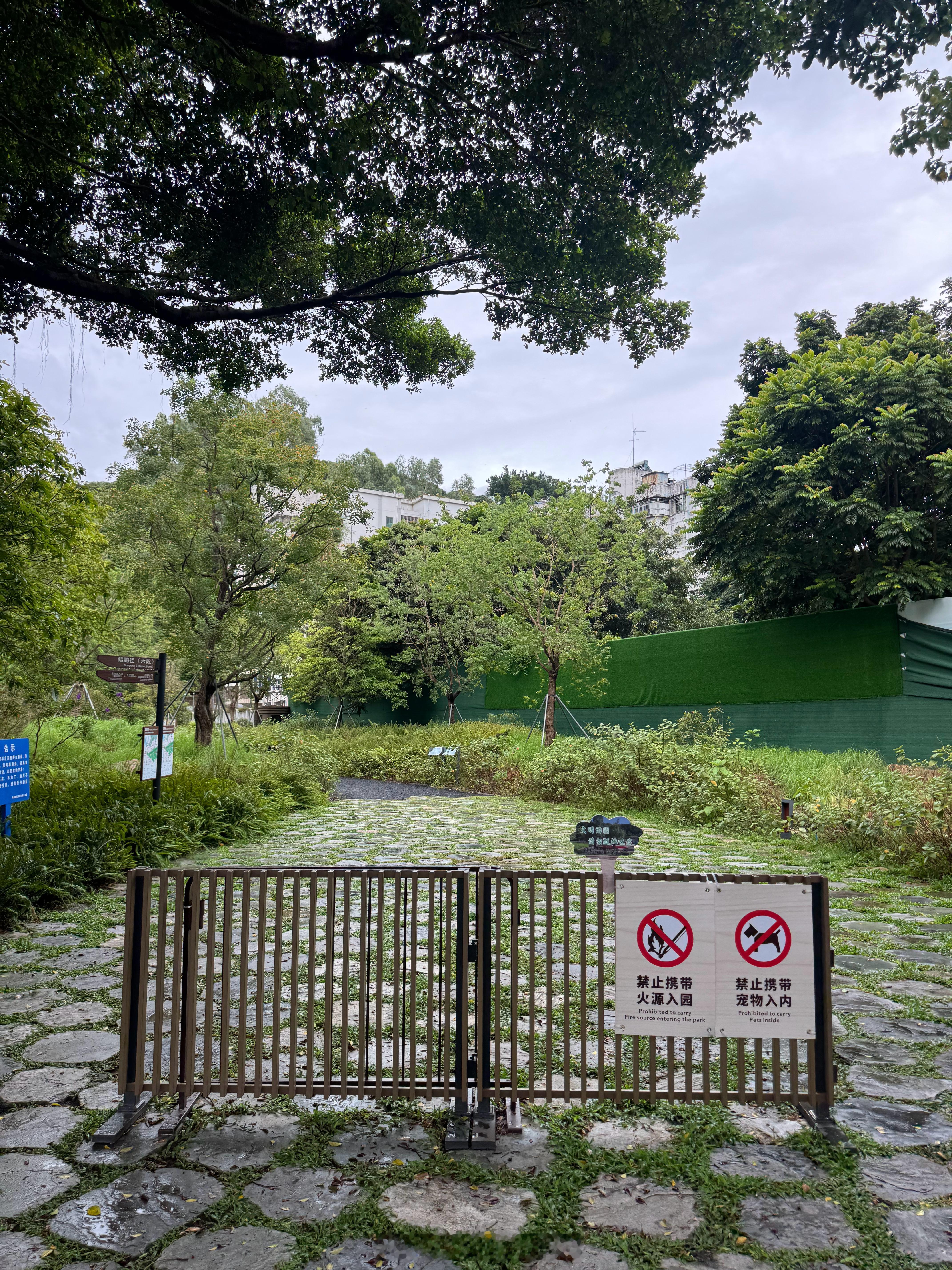 爬山🧗下雨更爽日常分享 ​​​