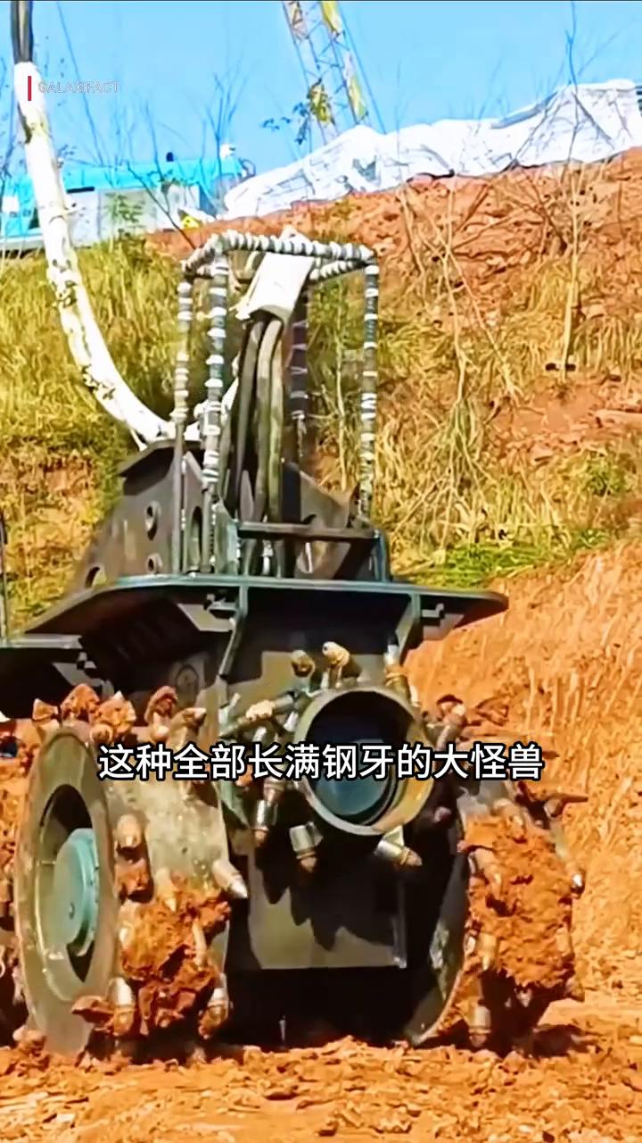 很多人第一眼看见这种全部长满钢牙的大怪兽都不知道它是什么东西，它的外形既不像挖掘