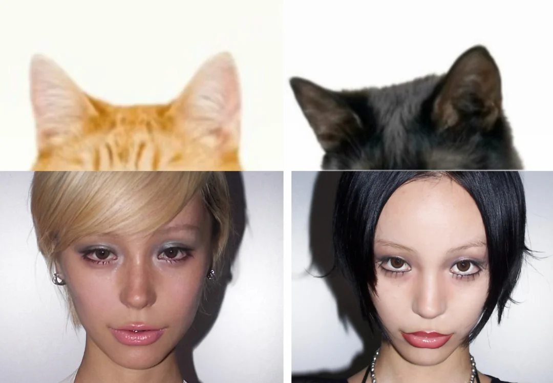 你说说你要养哪只