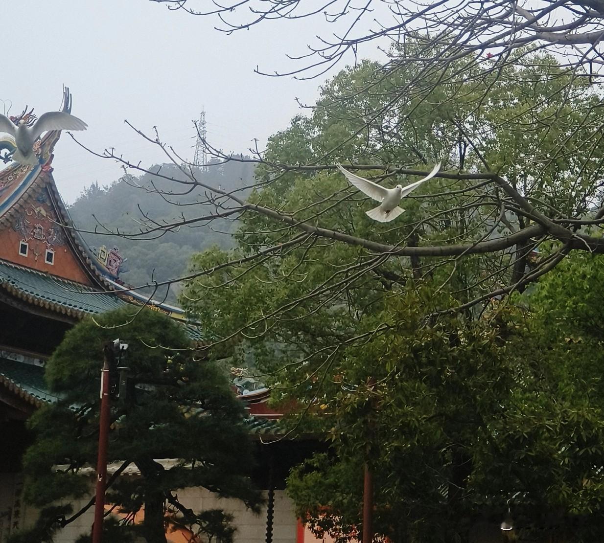 分享一张自然风景的照片