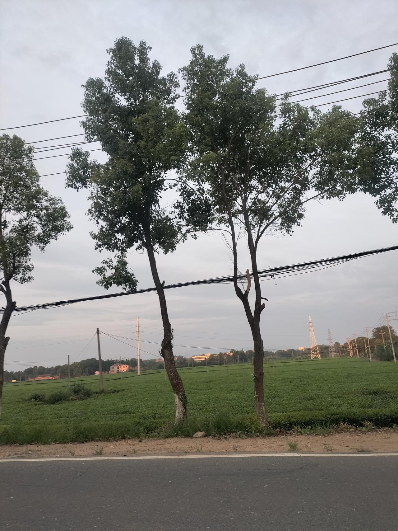 我要和前夫联系，小孩子要读书，读书就要学费，作为孩子的父亲，就要承担他的学费。