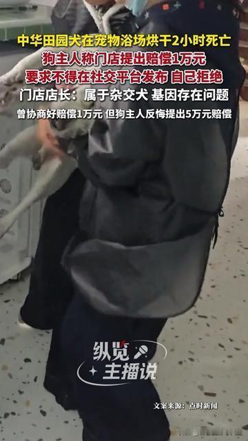 凌晨刷到这条新闻时，我家狗正扒着我手要零食，

刚满1岁的柯基，居然在宠物店