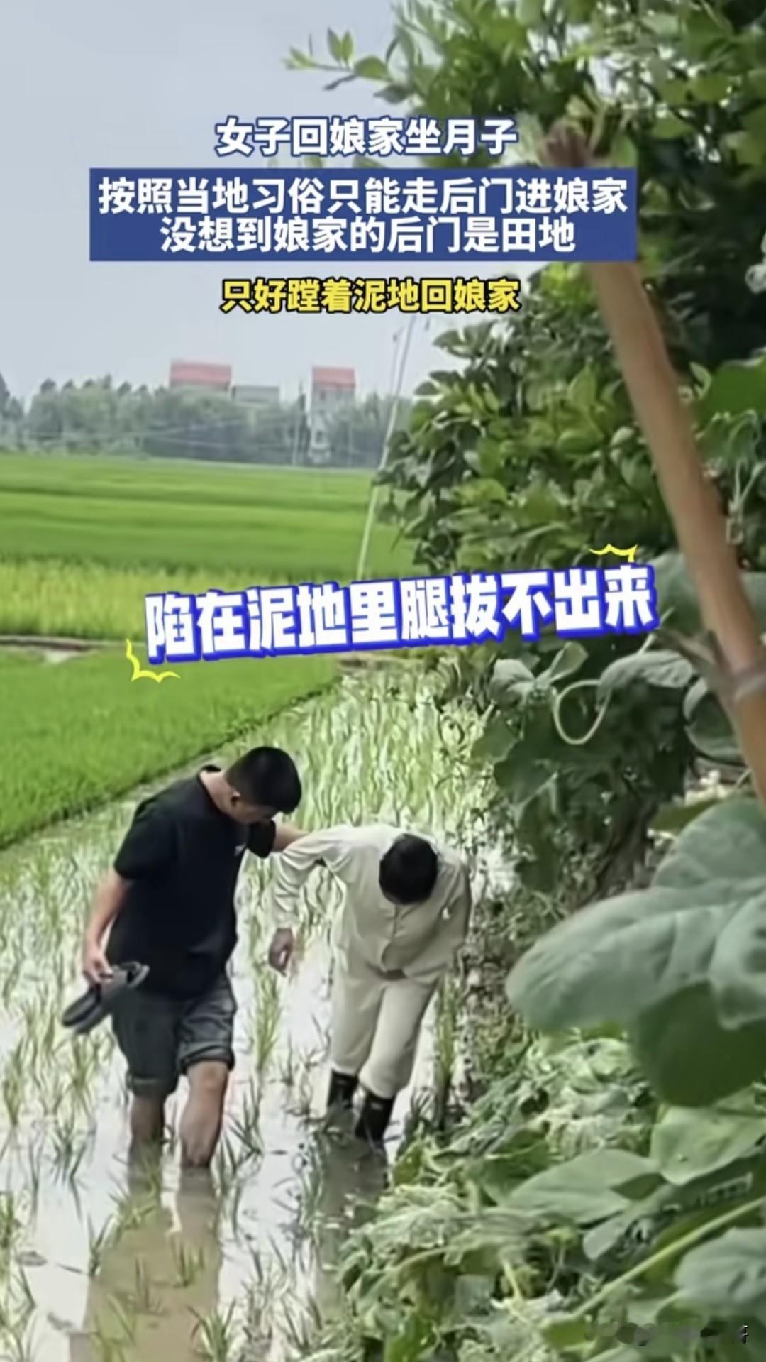今天刷到一个网友发布的这个视频，说是女子回娘家坐月子按当地的习俗只能走后门，但是