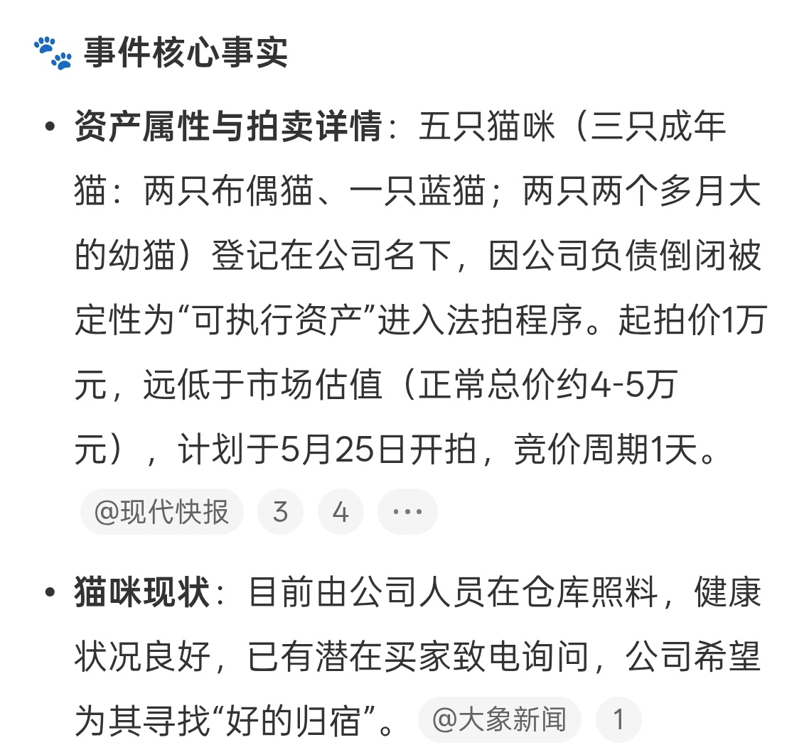 公司欠债倒闭五只猫咪员工被法拍猫猫好可怜，希望能找到好心人，参加拍卖的应该也是喜