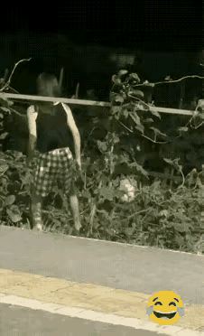 夫妻俩半夜去偷邻居家的那个大白冬瓜，眼看冬瓜即将到手，谁知道还是赔了夫人又折兵[