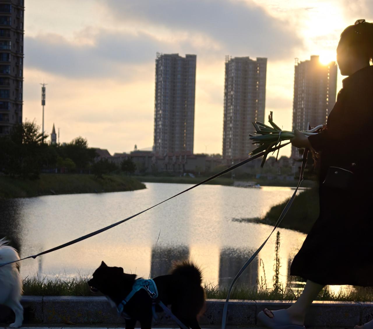 夕阳下