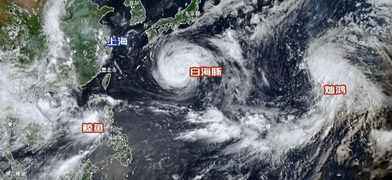 三台风共舞上海人重点关注白海豚三台风共舞，让人有点眼花缭乱。8月5日午后，西北太