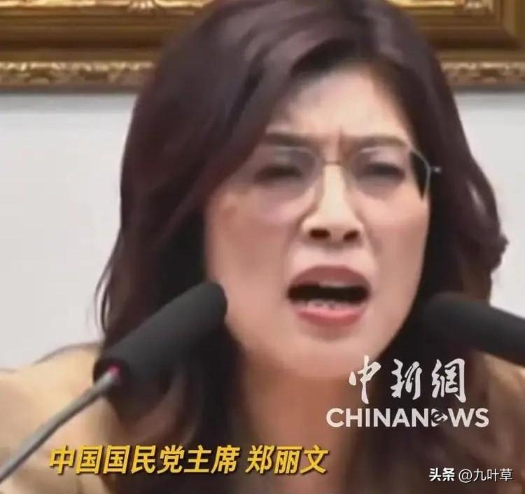 彻底穿帮！郑丽文所谓“最务实欧盟模式”，就是精致的双面投机！越看越离谱！郑丽文最