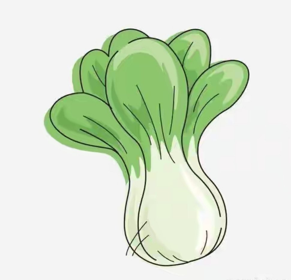 吃饭时先吃青菜然后再吃肉，可以使胃部更好地消化。吃饭的时候要先吃蔬菜然后再吃肉。