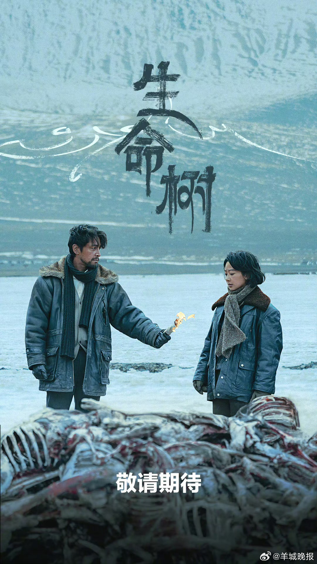 【哪部剧让你看满满诚意？】“一个眼神就能确定，我的爱就有意义。”哪部剧让你看到主