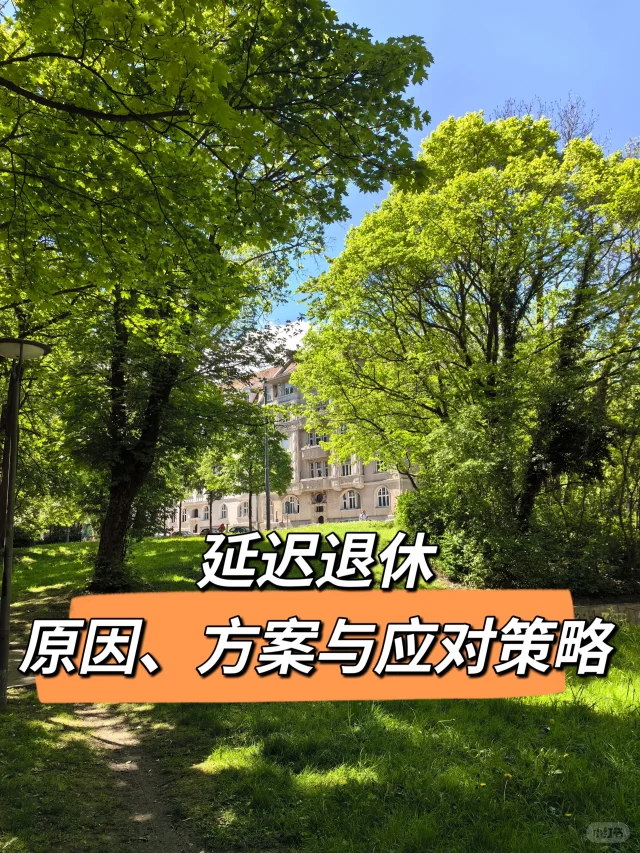 延迟退休：原因、方案与应对策略