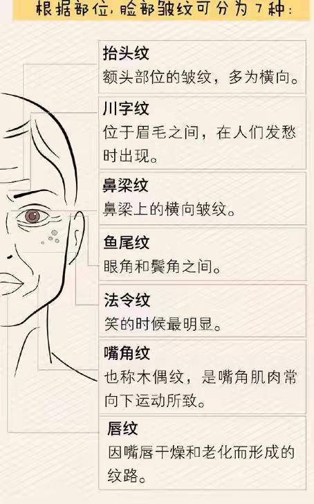 人的衰老分两个阶段，你应如何正确对待？

你是否有过这样的瞬间？明明昨天还觉得自