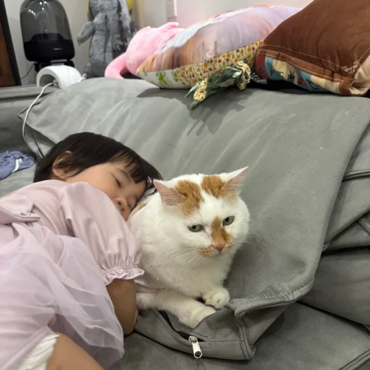 跟小孩处不了一点