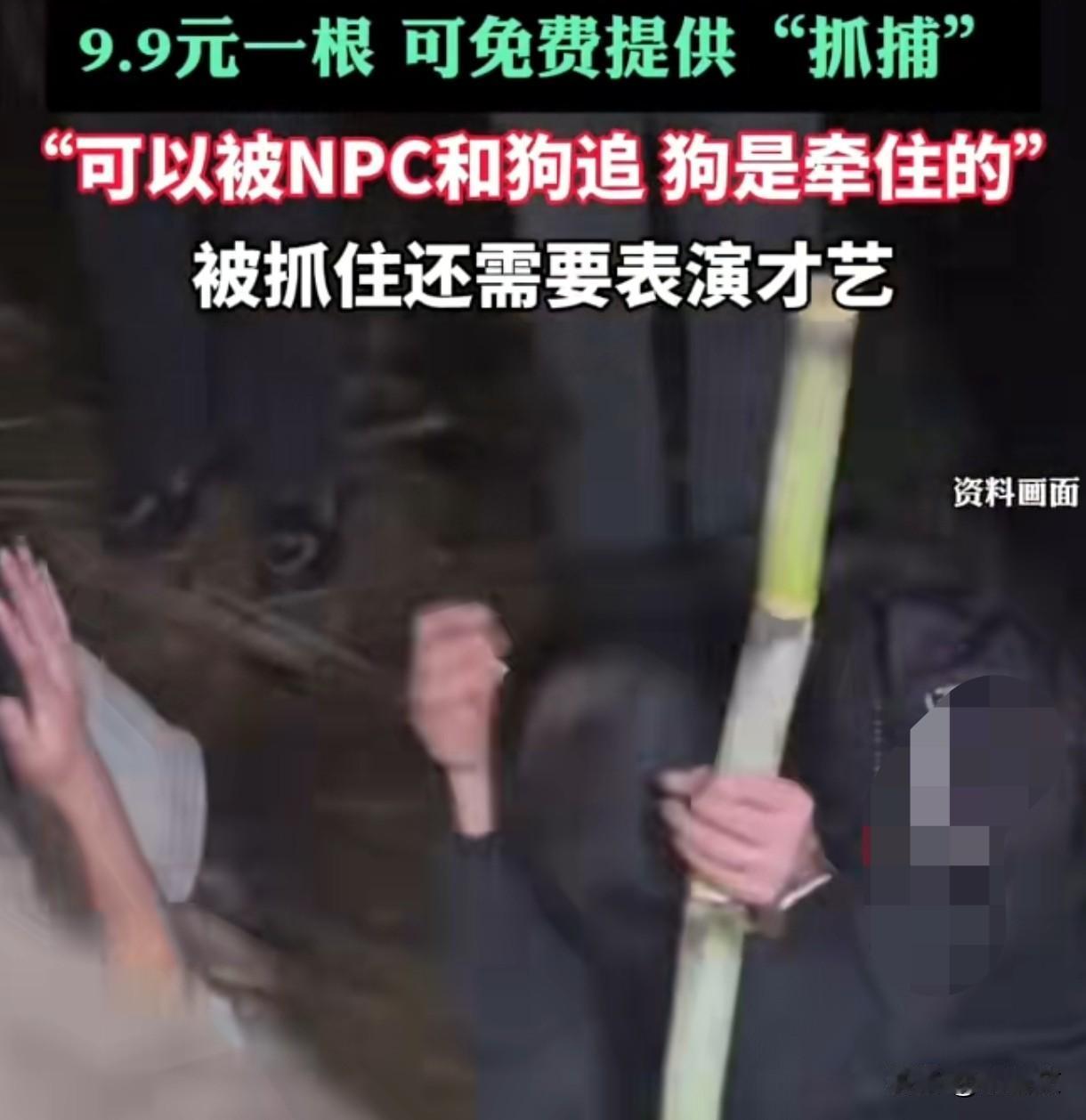 四川老板玩疯了！9块9让游客偷甘蔗，日入近万笑开花
 
现在年轻人玩得是真野，四