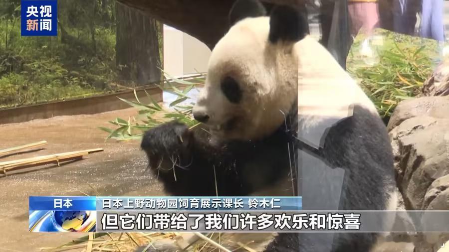 日本民众排队送别大熊猫 因中日双方租借协议即将到期，最后两只旅日大熊猫“晓晓”和