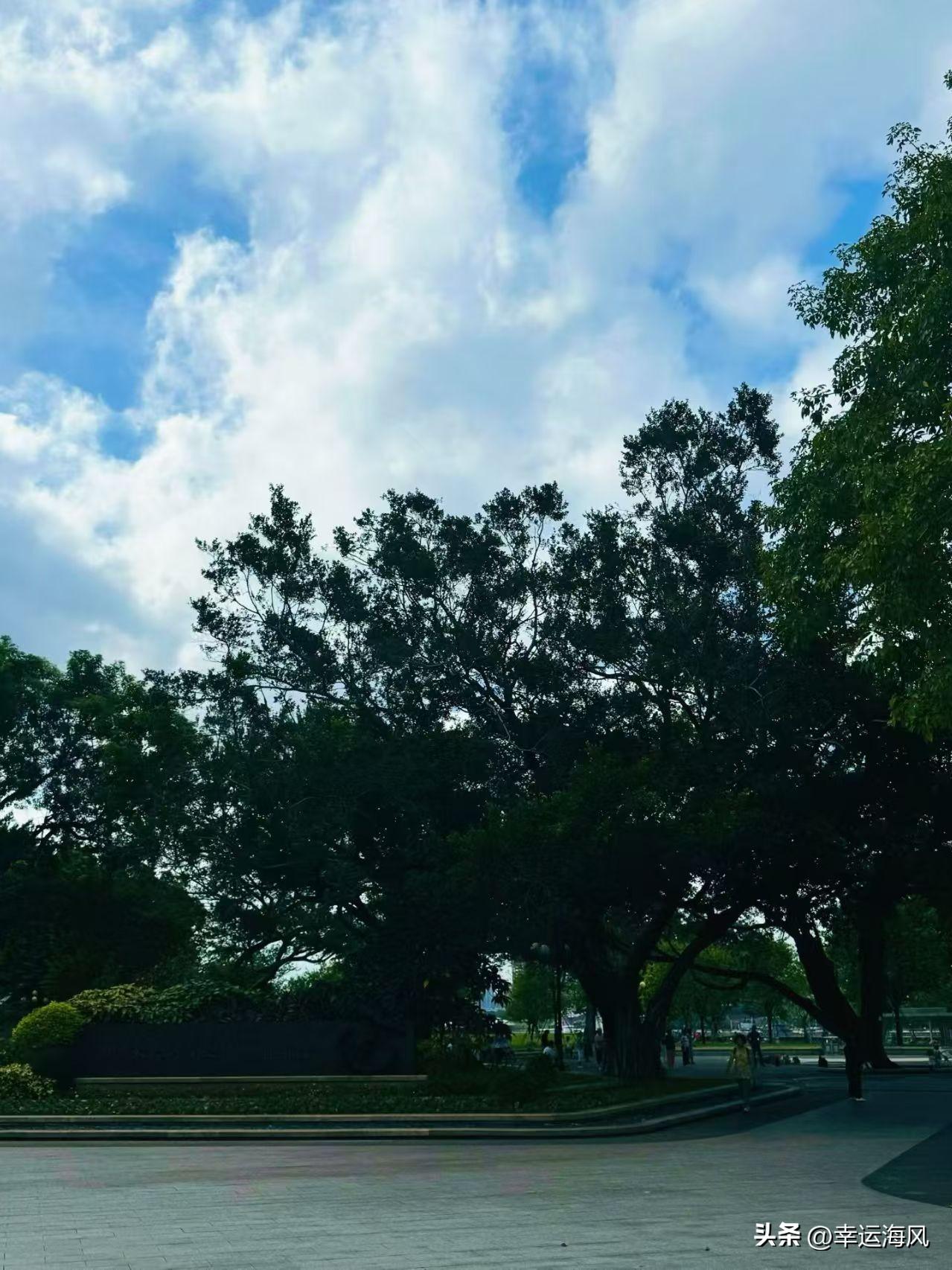 分享手机里随手拍的风景照