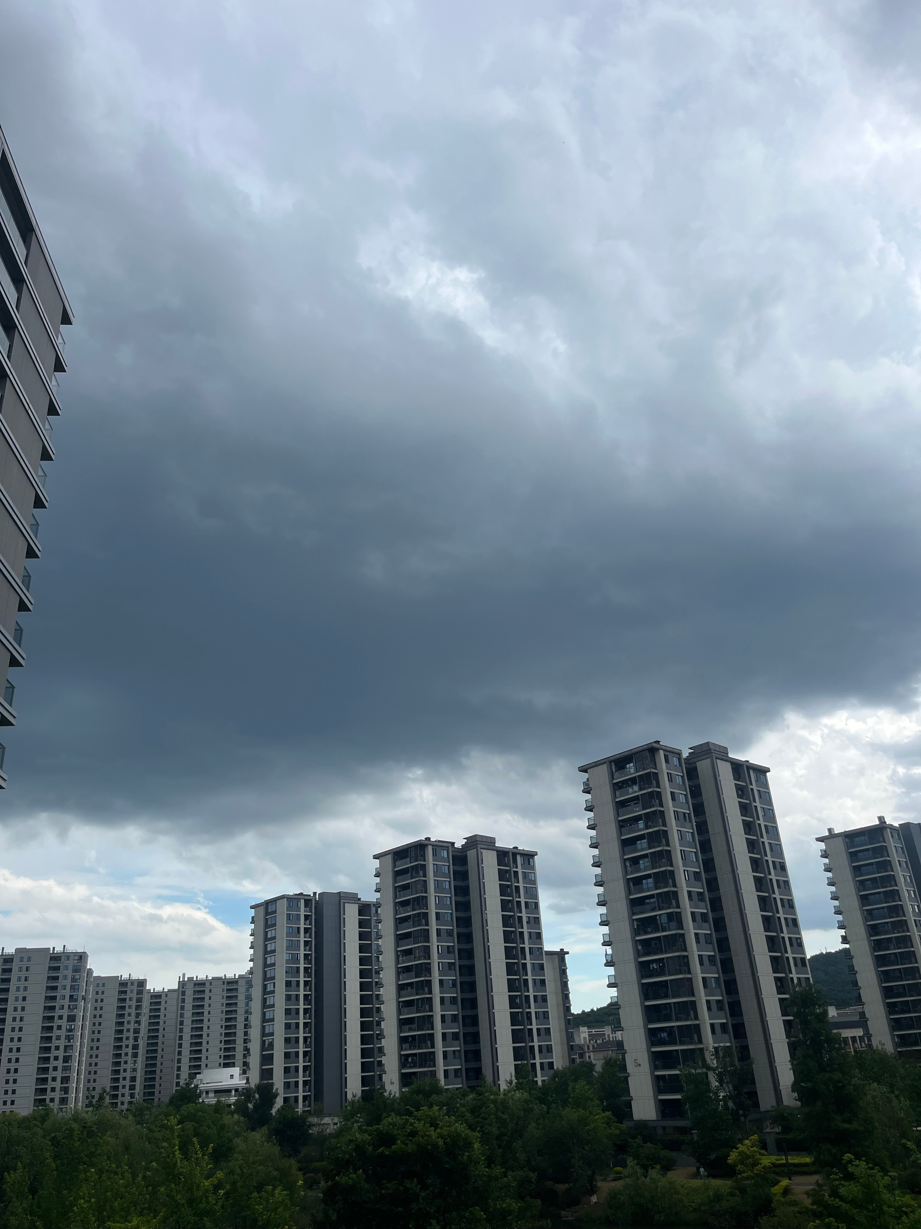 杭州的雨真是会挑时间下，经常是早上送娃，下雨。下午接娃，下雨。好不容易今天上午晴