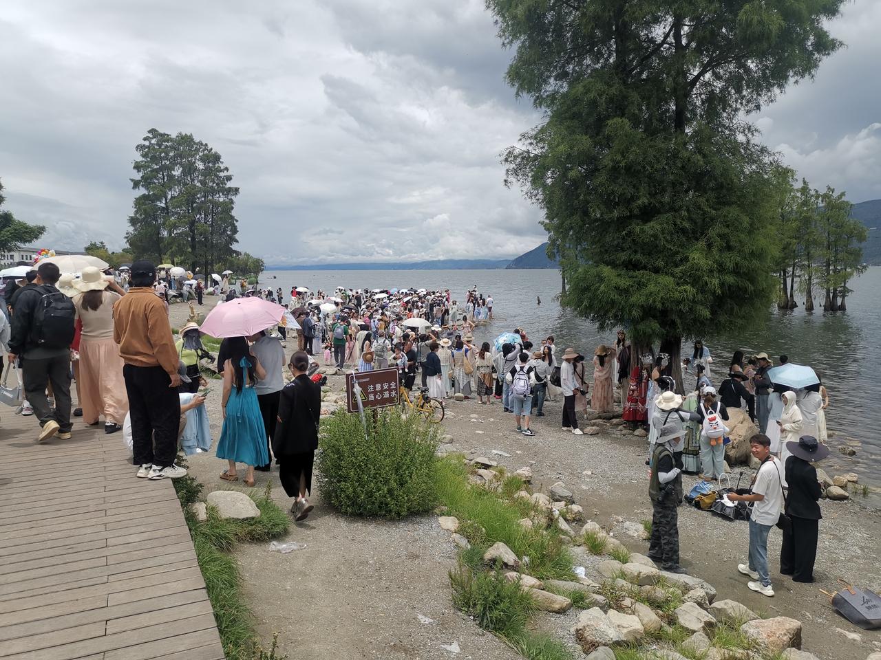 每日洱海
苍山洱海的生态保护有多重要