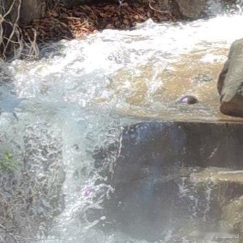 真正的自由，不是想做什么就做什么，而是内心不再被情绪左右，不再被他人定义，清醒、