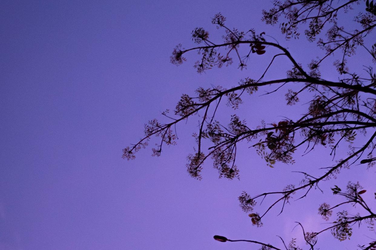 我做生意17年，我深知人性的恶，我不给任何人走近，就是见面有事说事，没事不联系，