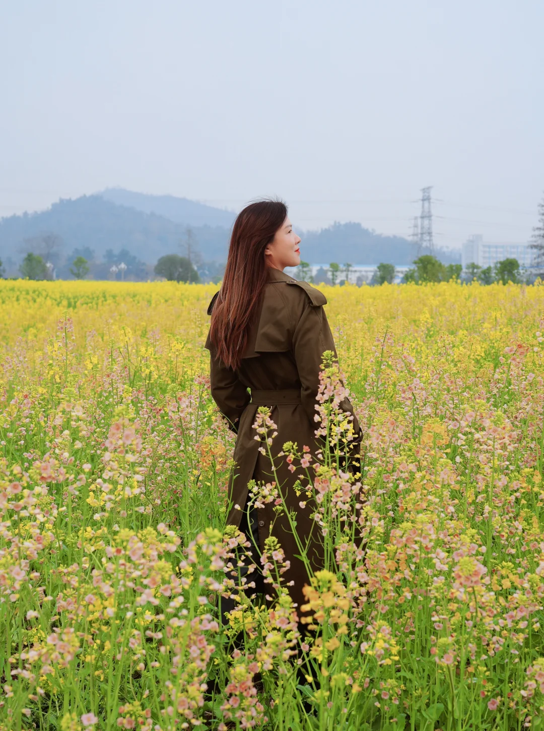 3.8在武汉❗️七彩油菜花田🌼现在可冲❗️