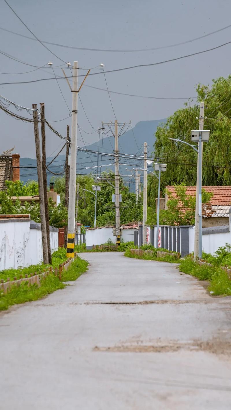 难忘的故乡情

时间恰如闪电一般，的确不饶人啊。屈指一算，我已经离开生我养我的故