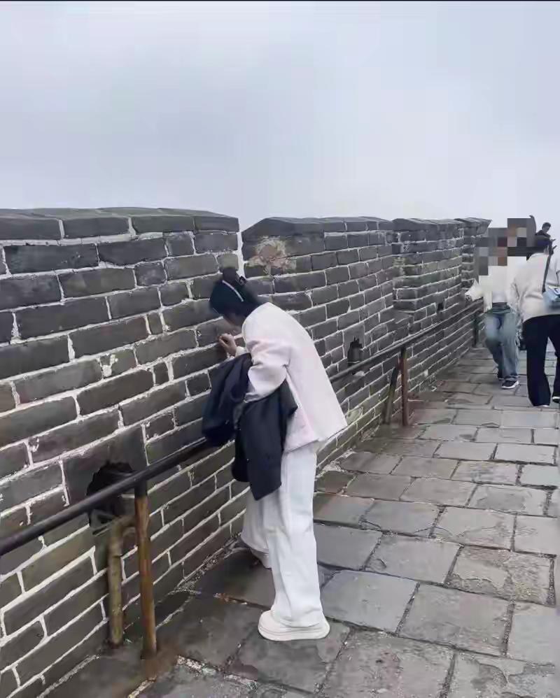 该长记性了
都什么年代了，还有愚昧的人在长城上刻名，近日有网友反映有人在长城刻名