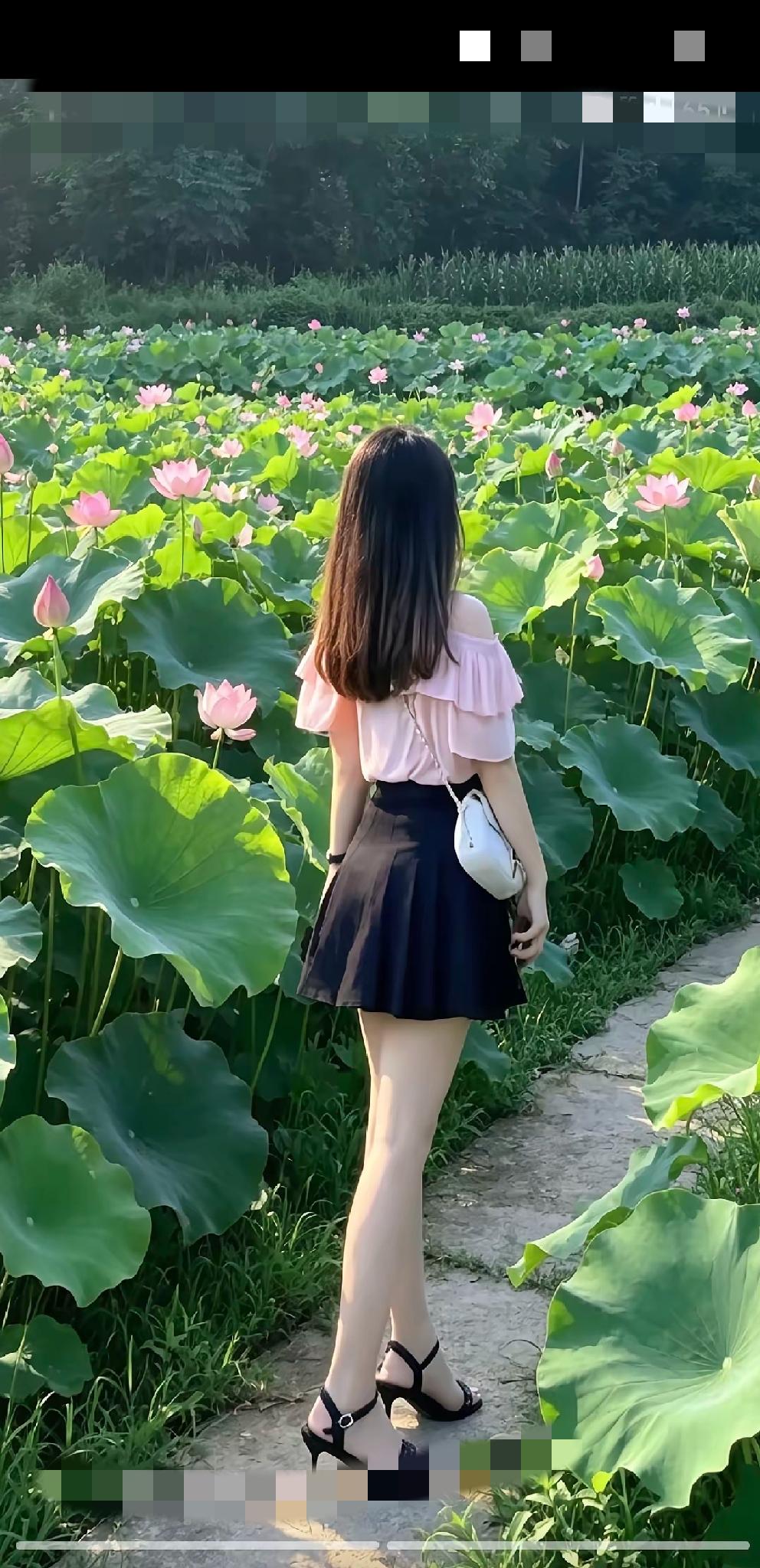 [玫瑰]荷花[玫瑰]
碧波池里绿蜓漾，
荷韵送香夏日长。
尘世美景过客忙，
……