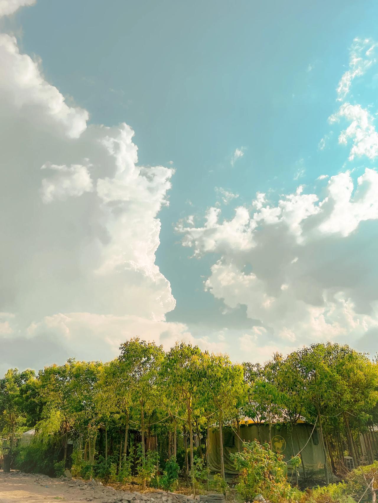 郑州的秋天比郑州的夏天还要美丽 很多人都说郑州是没有春天和秋天的 这句话是不对的