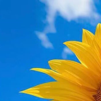 朝阳缓缓升起，带来无限希望。新日子里，愿你坚定信念，勇往直前，奔跑吧少年