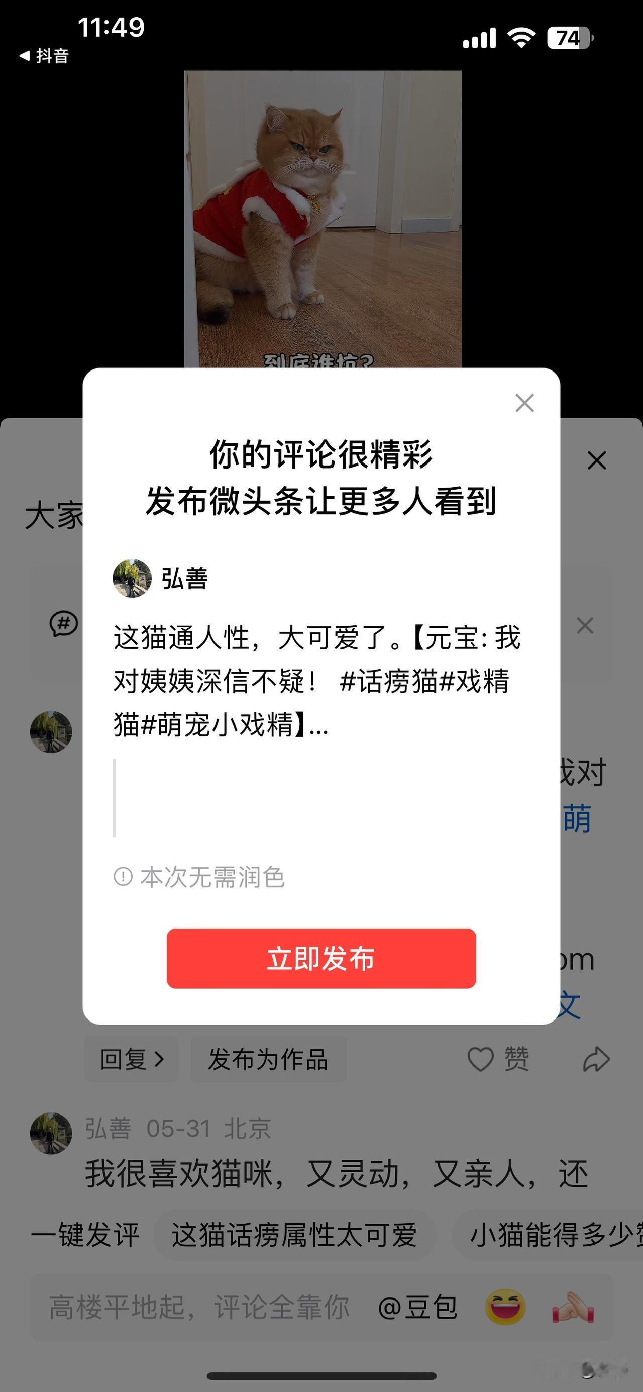 我超认同“这猫通人性，大可爱了”这句话！之前看朋友家的猫，那叫一个机灵。朋友难过