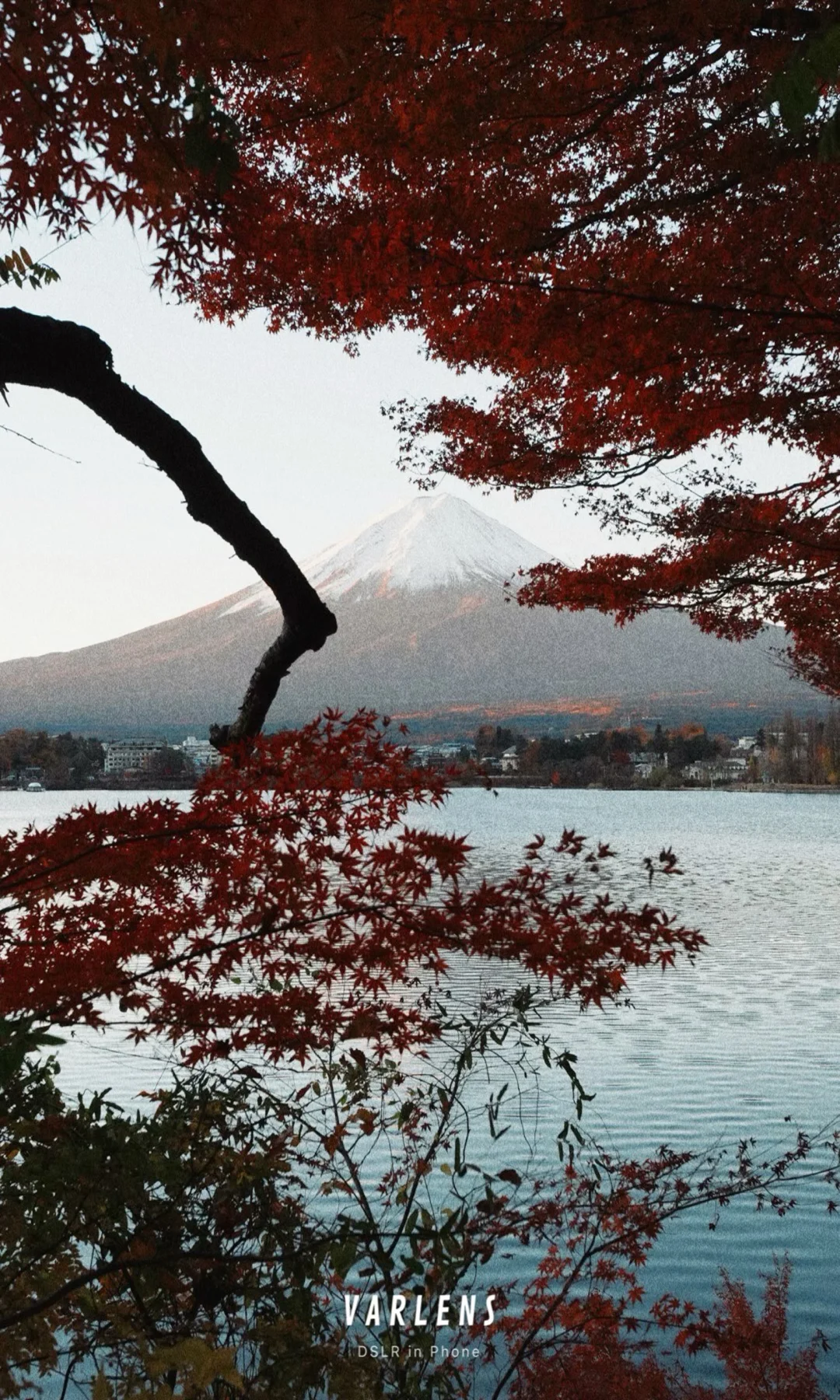 红叶季在富士山拍摄的胶卷洗出来了