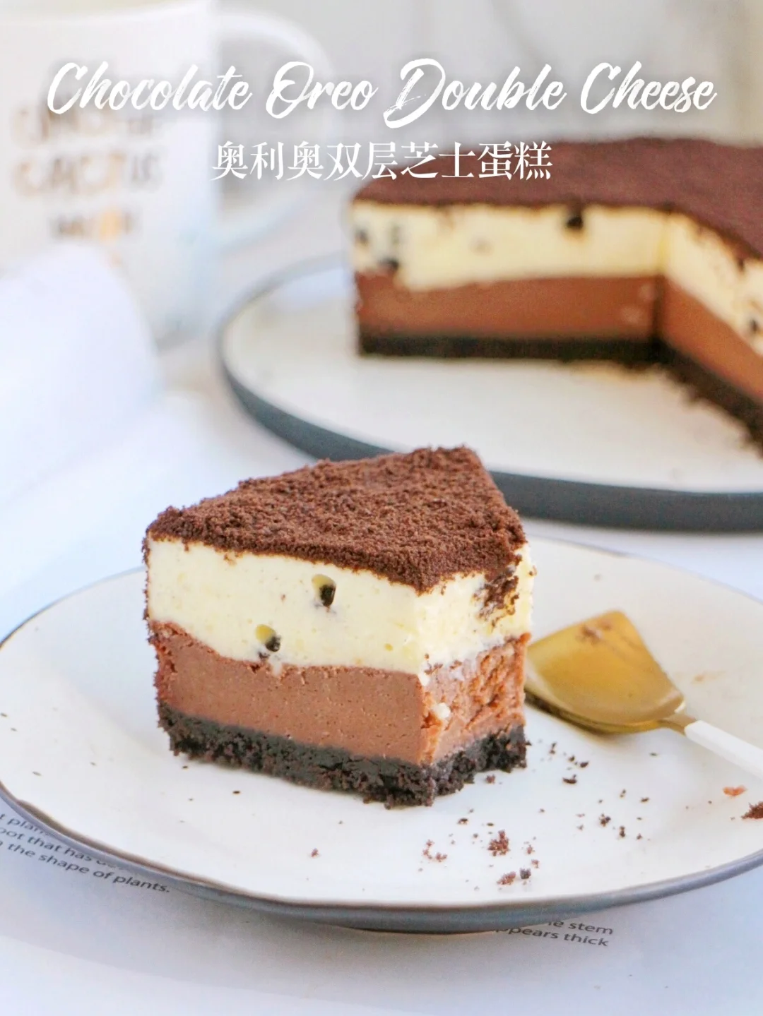 ㊙️双倍好吃！巧克力奥利奥双层芝士蛋糕