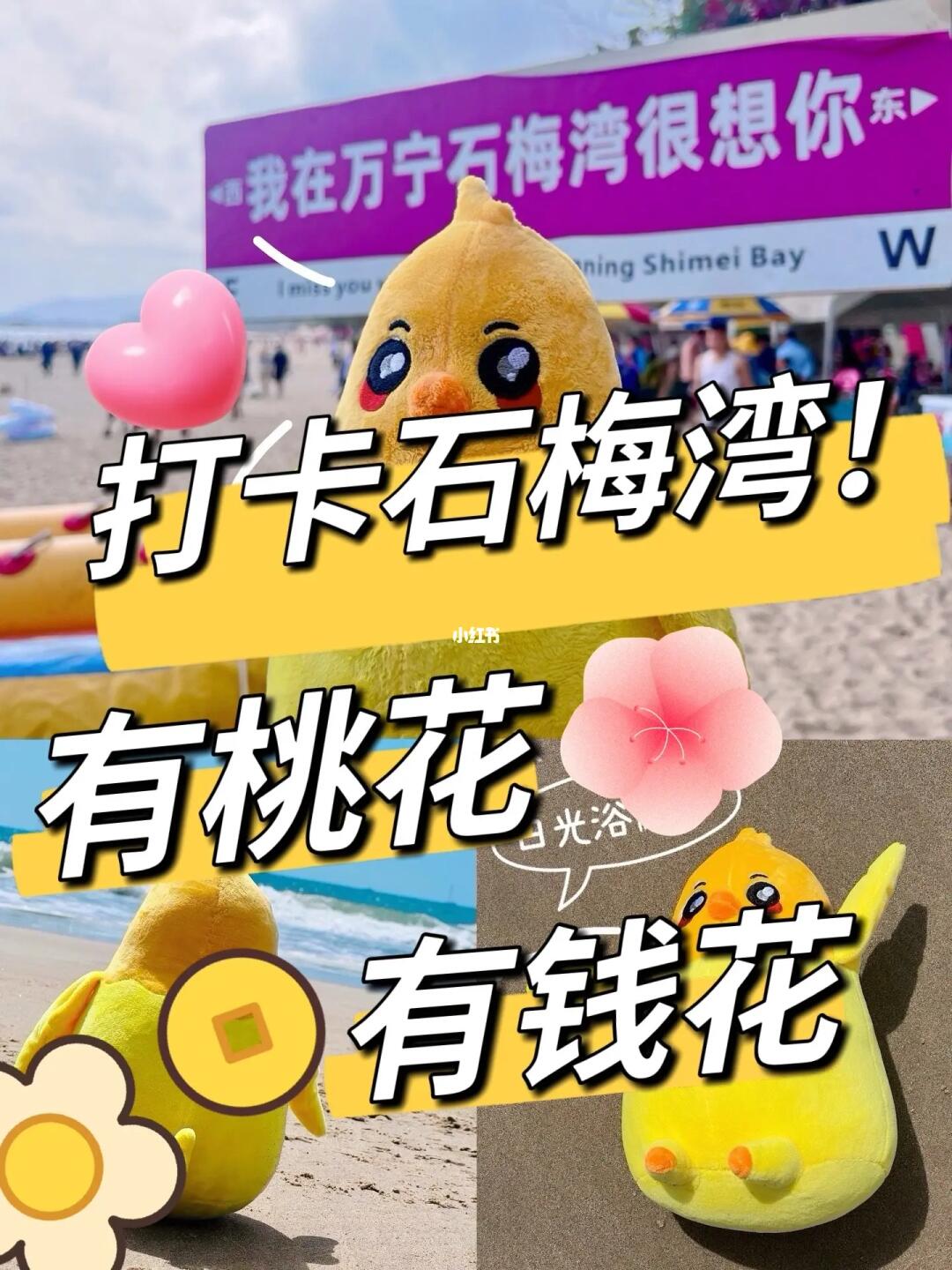 多多在度假⛱️｜有桃花🌸有钱花💰