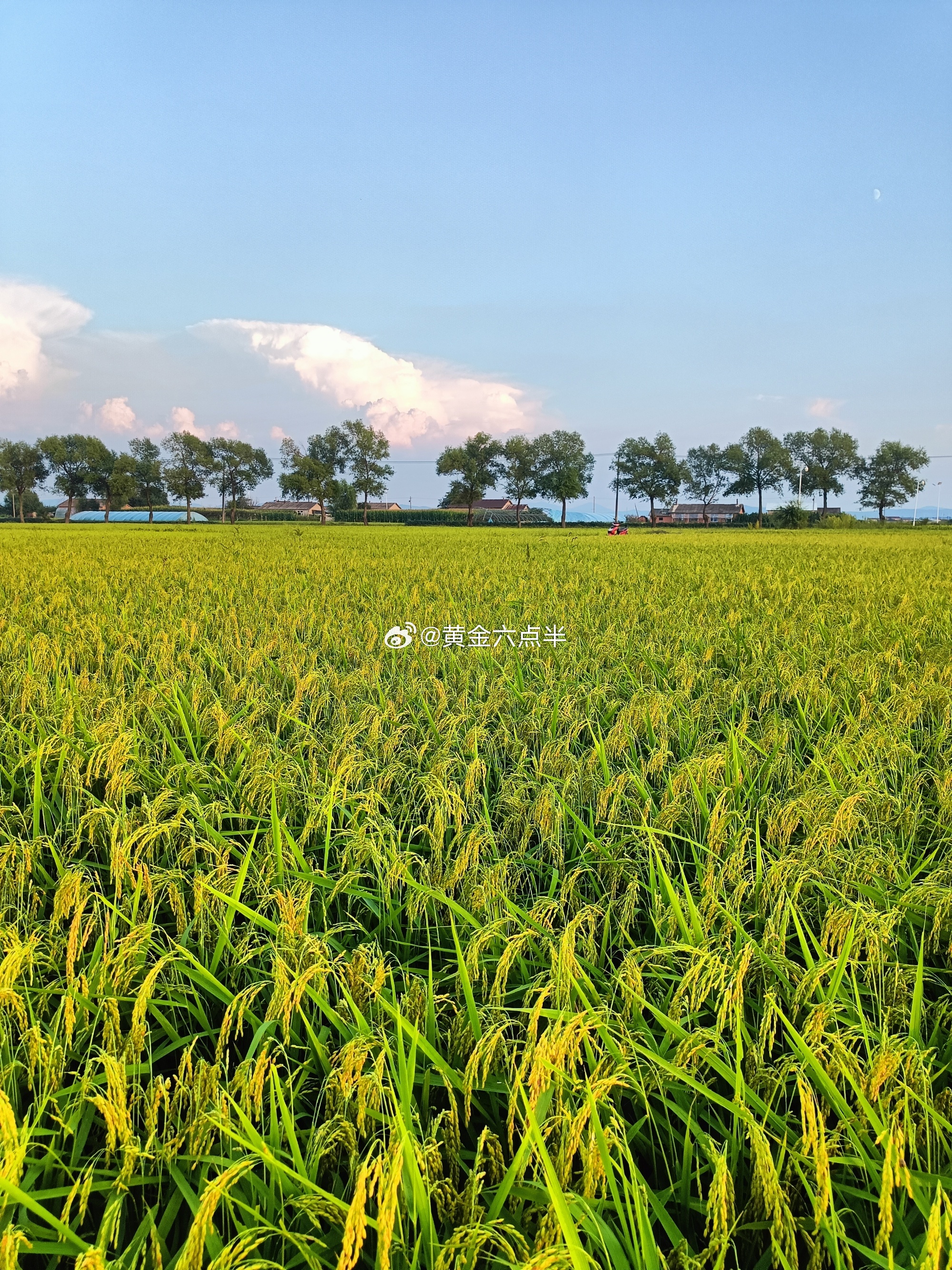 8.30号周一，八月最后一个交易日也是九月非农周，兄弟们早上好。点赞打卡评论，新