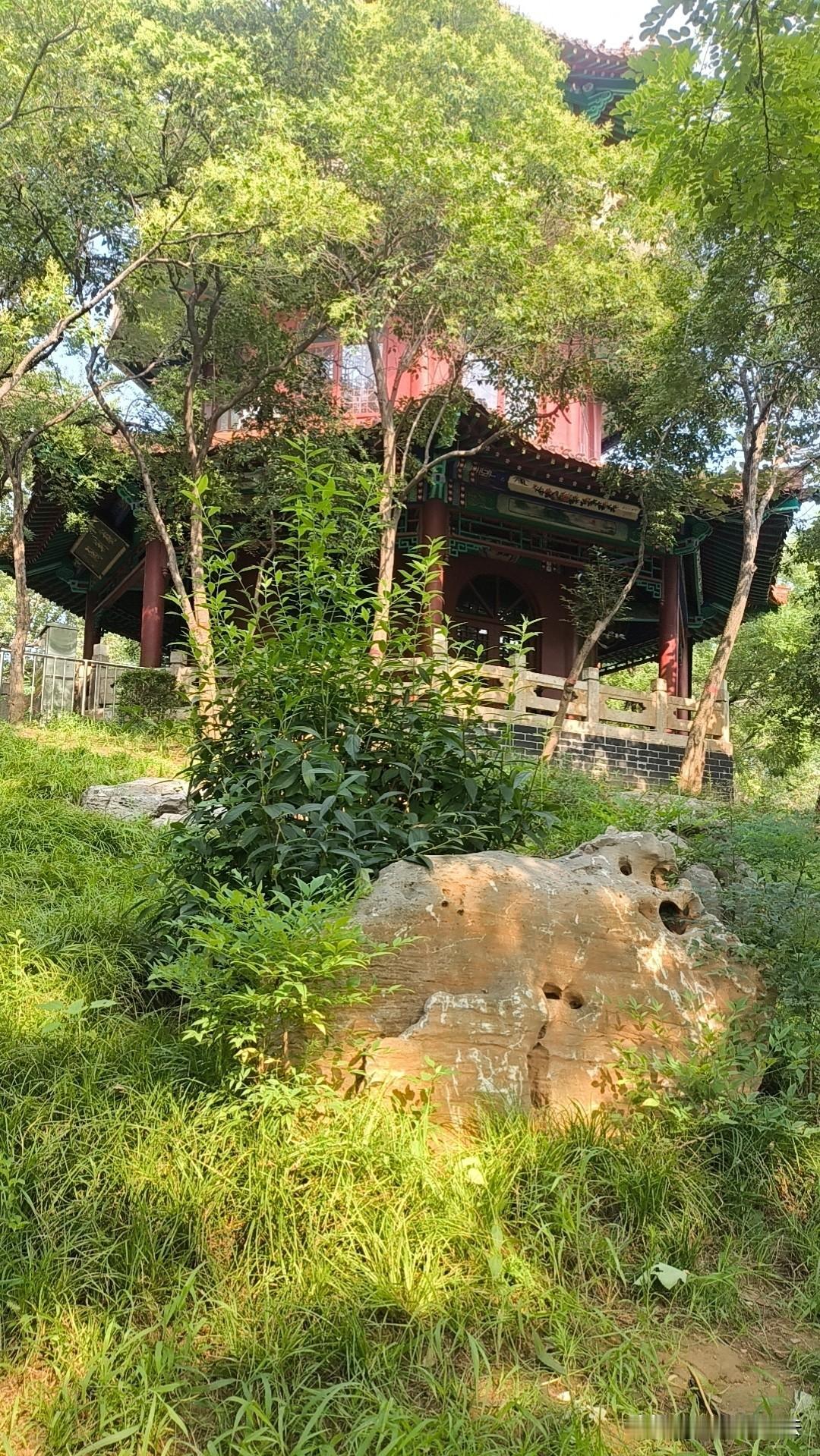 晒图笔记大赛