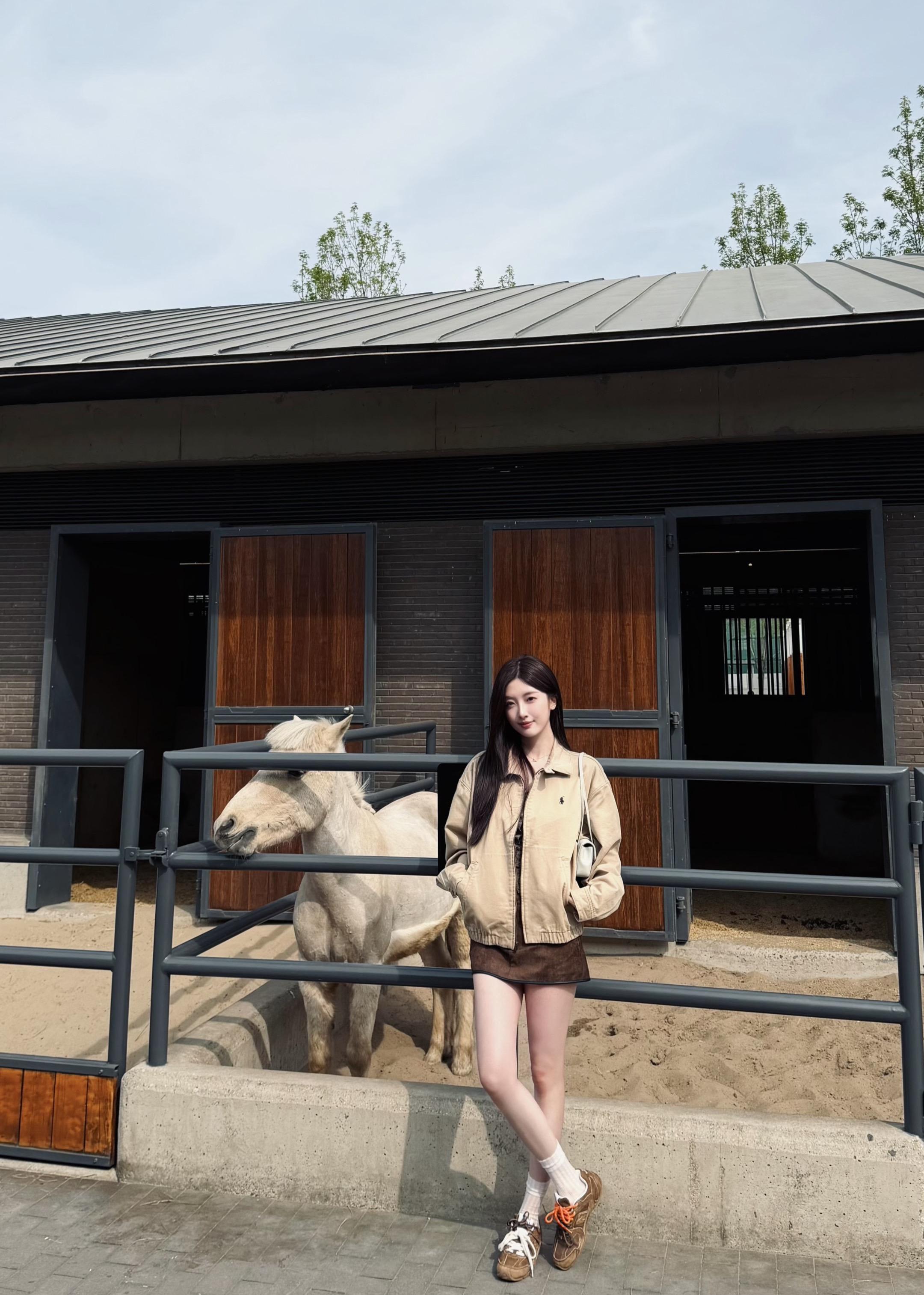 看小马的一天🐴