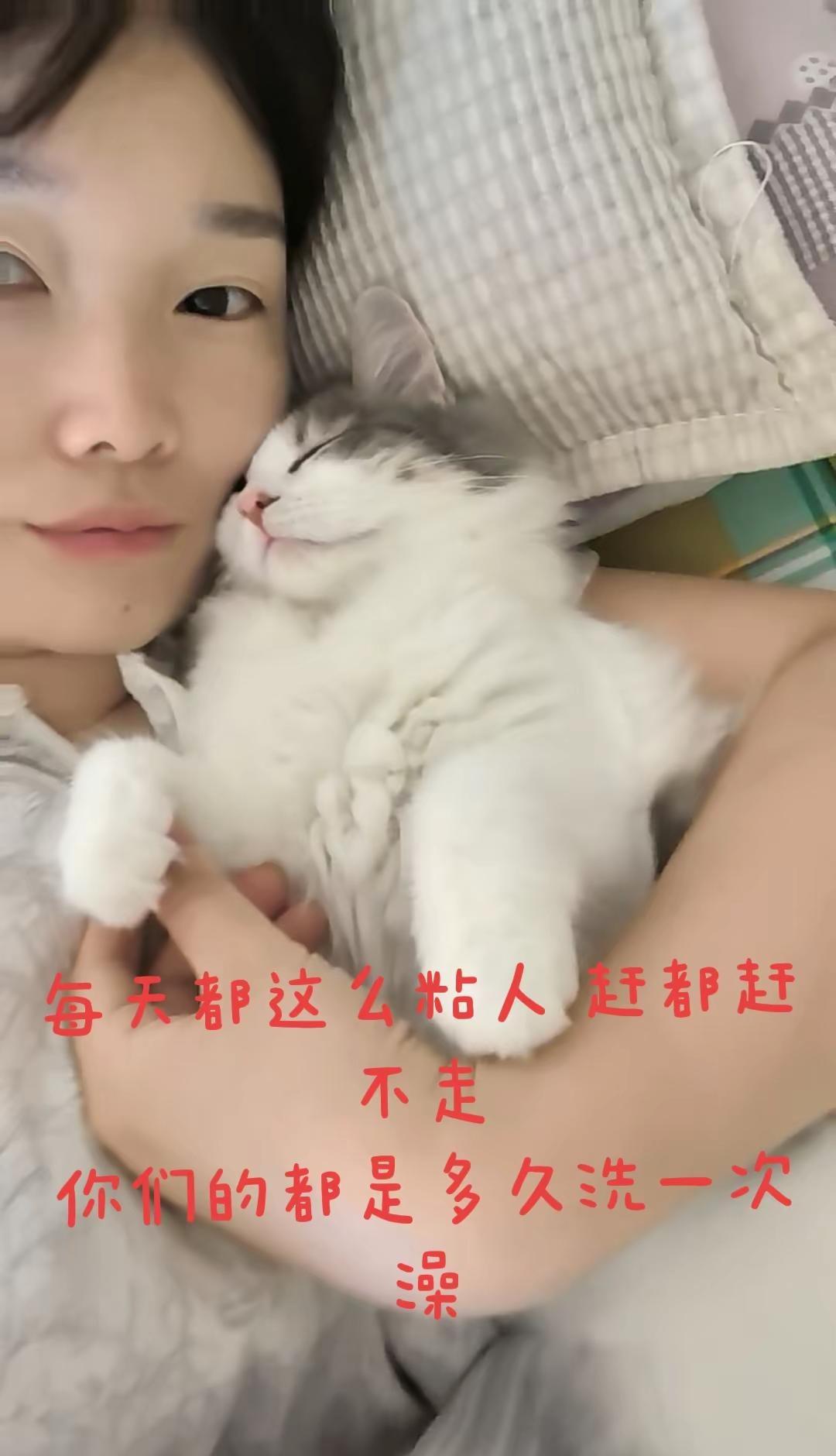 到底该多久洗一次澡！iQOONeo11至尊版 iQOOZ11S vivo夏日超值
