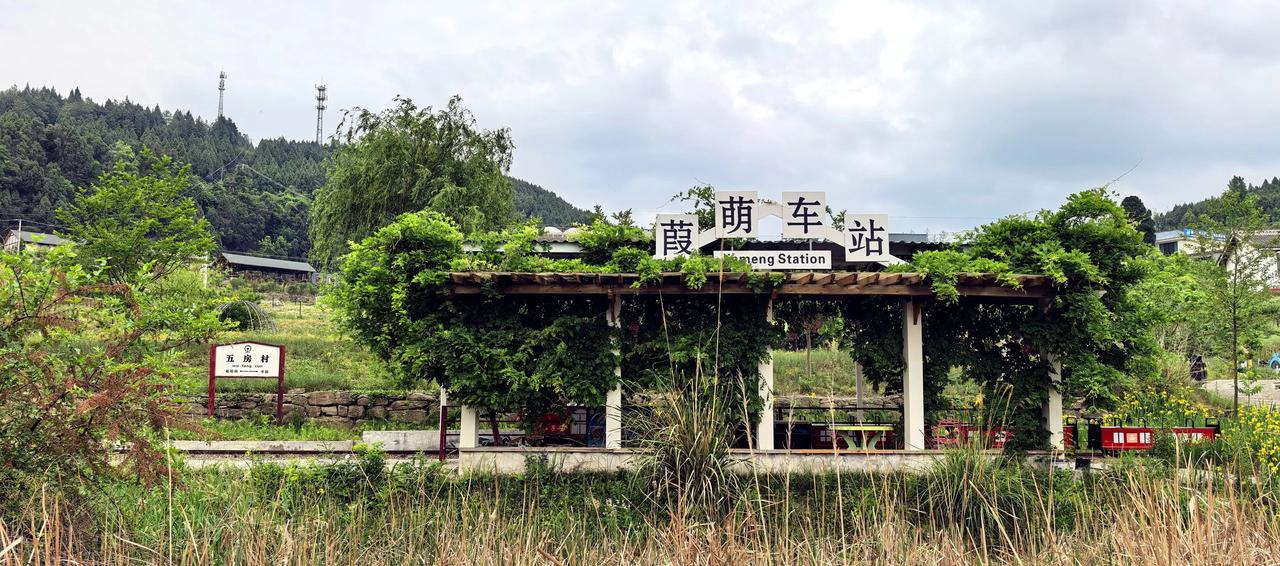 在昭化药博园里的一组手机随手拍 📷（拍摄于2025年5月4日-广元市昭化区射箭