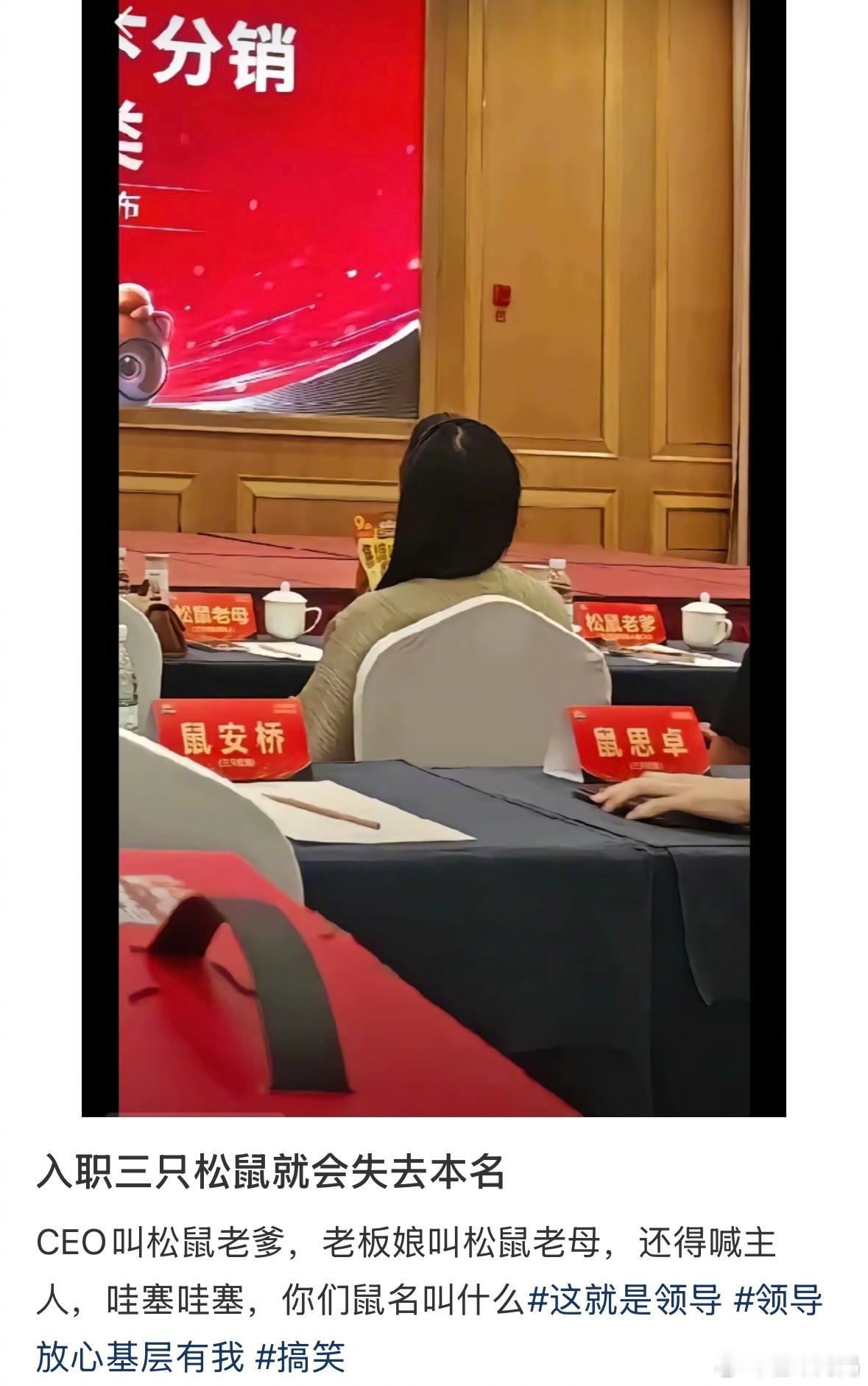 原来入职三只松鼠就会痛失本名