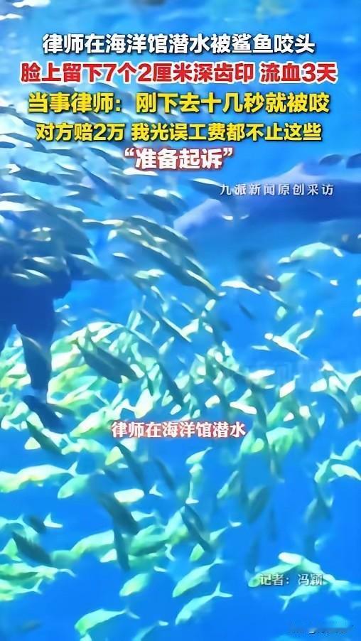 “这不是要人命嘛！”6月15日报道，湖南长沙，一位律师在海洋馆体验潜水。下水才十