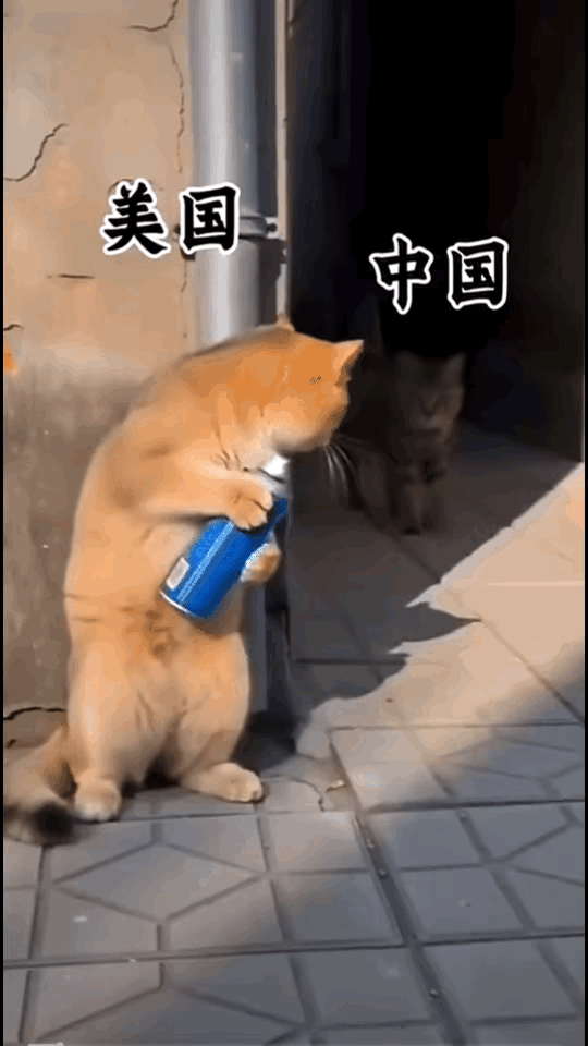 哈哈哈哈，美国制裁中国，这个比喻太形象了
 
哈哈哈哈，美国制裁中国，很形象。