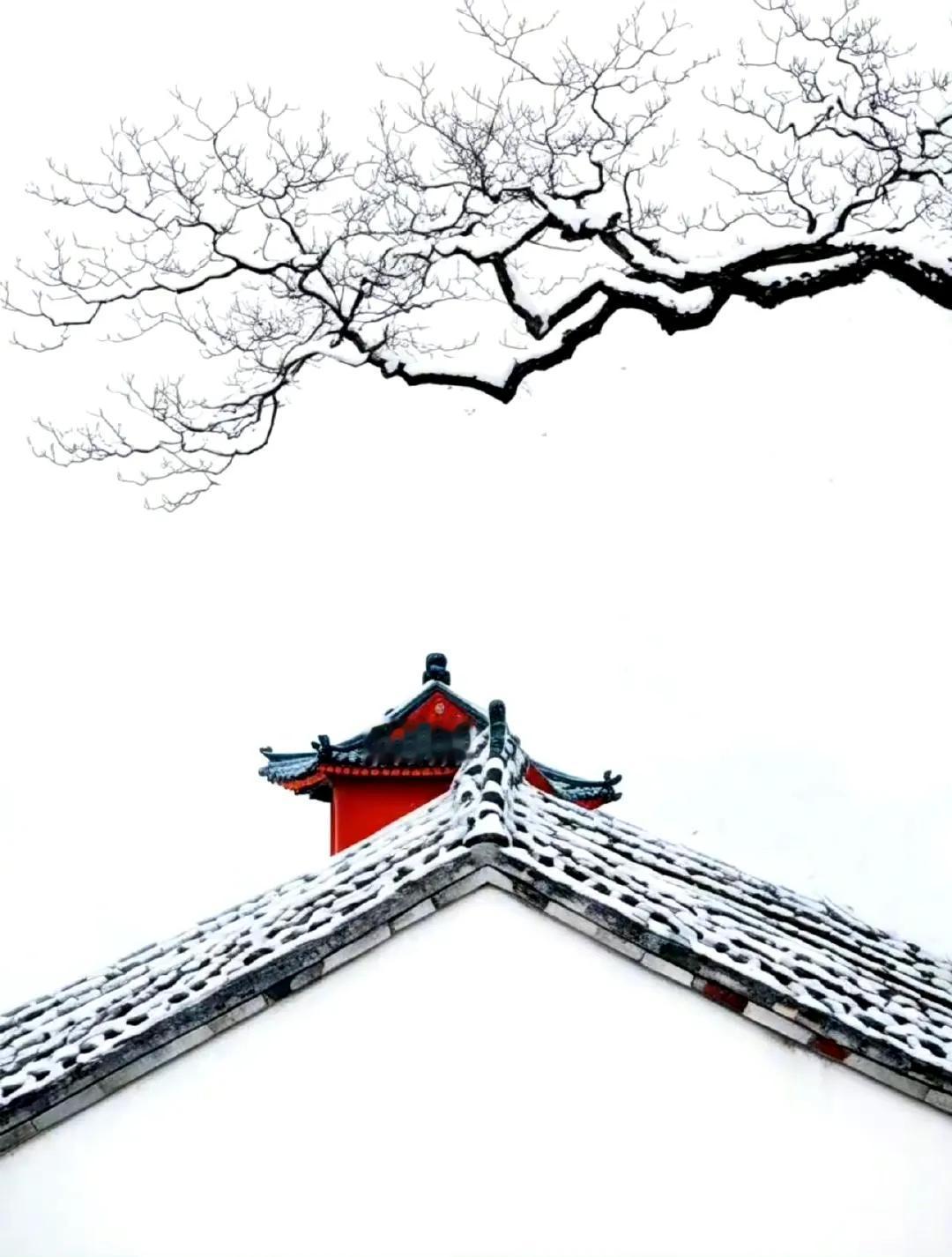国风的古韵之美，百看不腻！

还是我们国风无可取代，哪怕历经千年也能让我们百看不