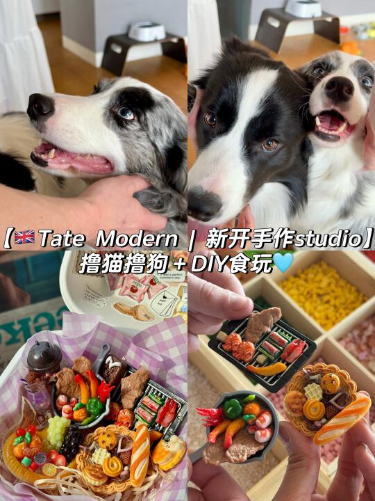🇬🇧梦中情店！DIY迷你食玩＆擼猫猫狗狗🦮🐶