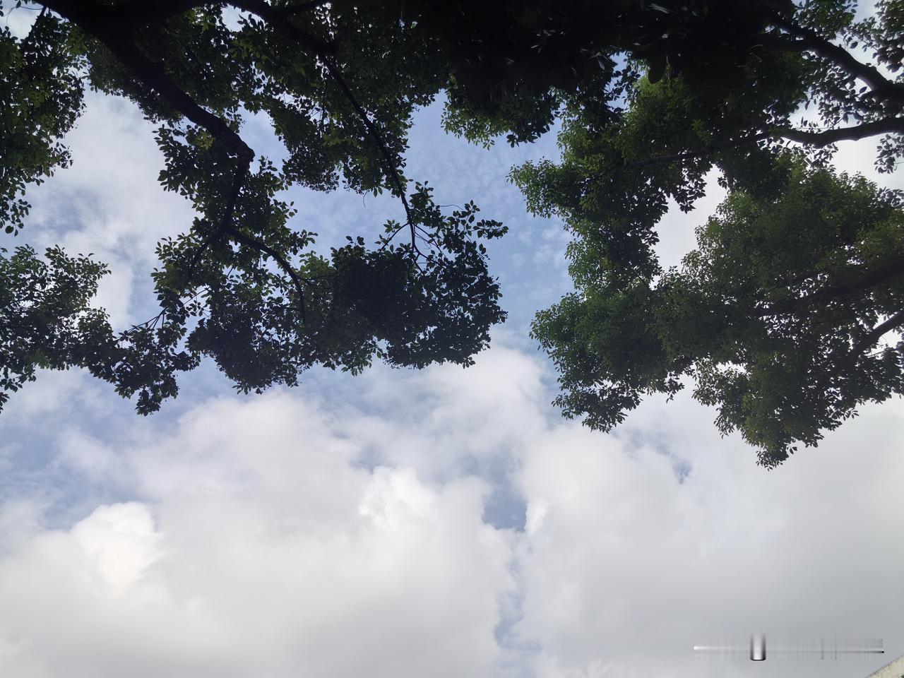 今天是八月的最后一天，对于我家某人来说，应该也是终生难忘的日子。为啥呢？

因为