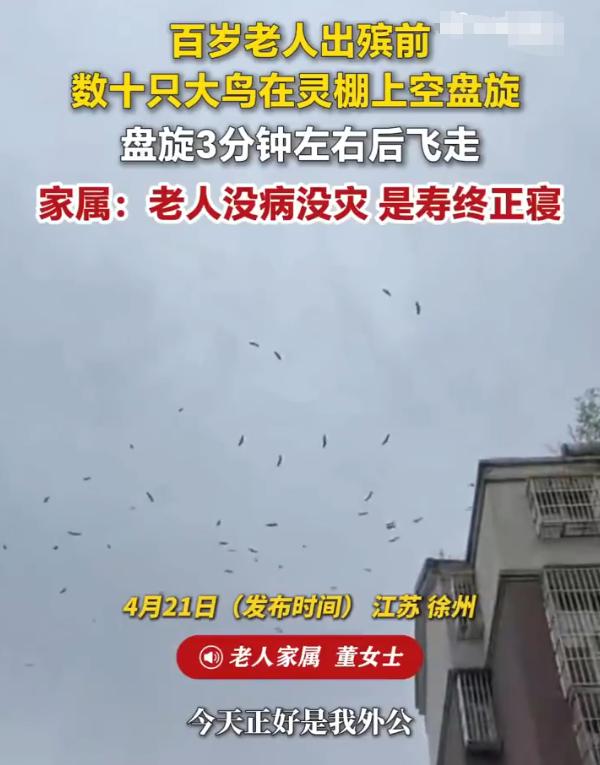 “102岁老人下葬，一群大鸟在空中盘旋哀鸣！”江苏徐州，一位102岁的老人安详离