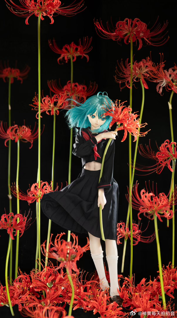 初音未来[超话]
