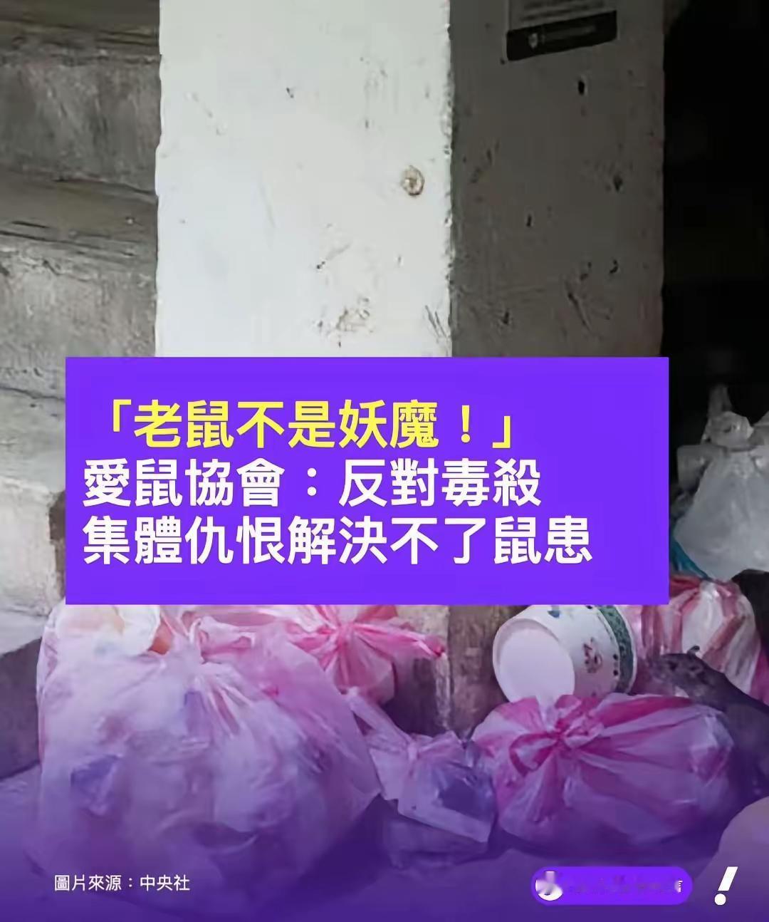 台湾省出现汉坦病毒致死病例，并开始投入大量老鼠药杀灭老鼠后，“台湾爱鼠协会”发声