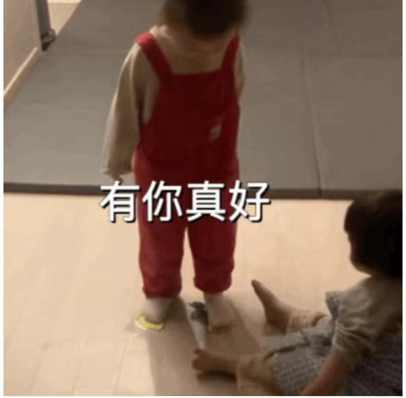 每次车圈名录一发布，大家的讨论度都挺高，主要是关于“某某品牌没出现”“某某博主没