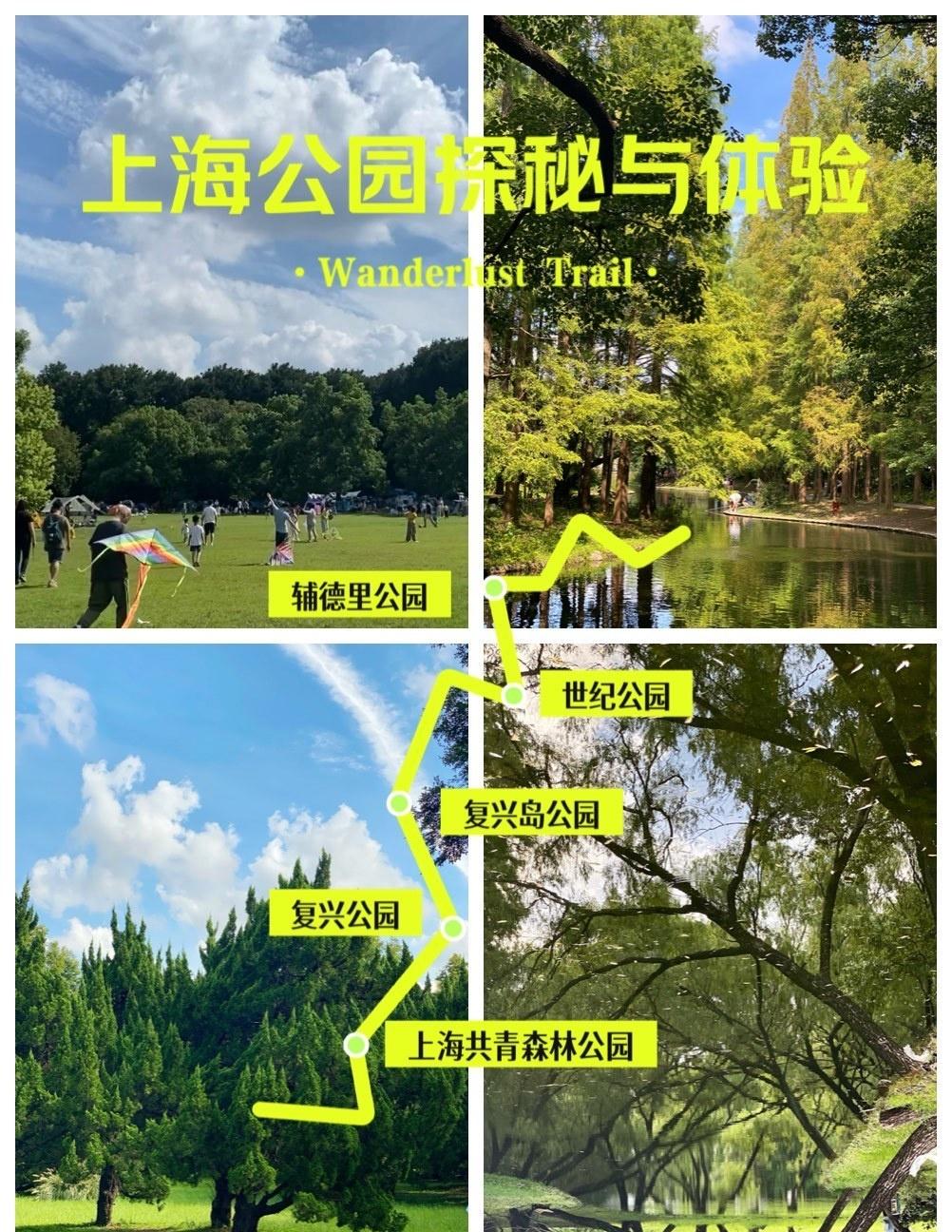 不是，随手一拍的公园都能美成这样？纯纯的上海自然徒步户外运动休闲娱乐天然氧吧公园